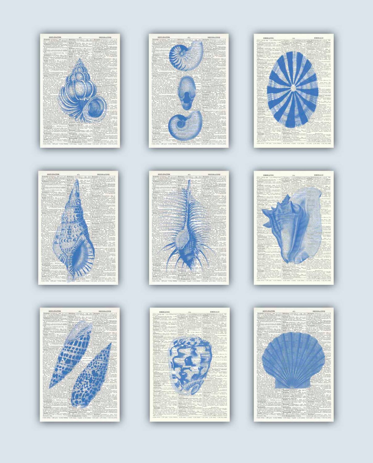 Seashell Art Sea Shell Print Seashells decor Nautical Art | Etsy