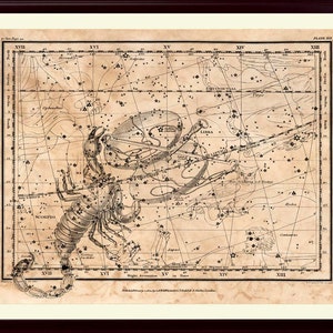 Skorpion Konstellation Druck, Astronomie Dekor, Konstellation Karte, Sternzeichen Poster, Skorpion Valentinstag Geschenk