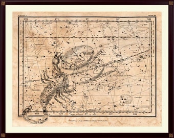 Vintage Scorpio Constellation Art Print, Astronomy Map