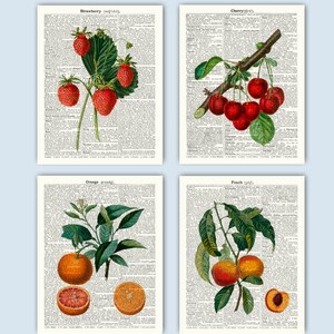 Vintage Fruits Prints, Kitchen Wall Decor, Kitchen Gifts, Set of 4 ...