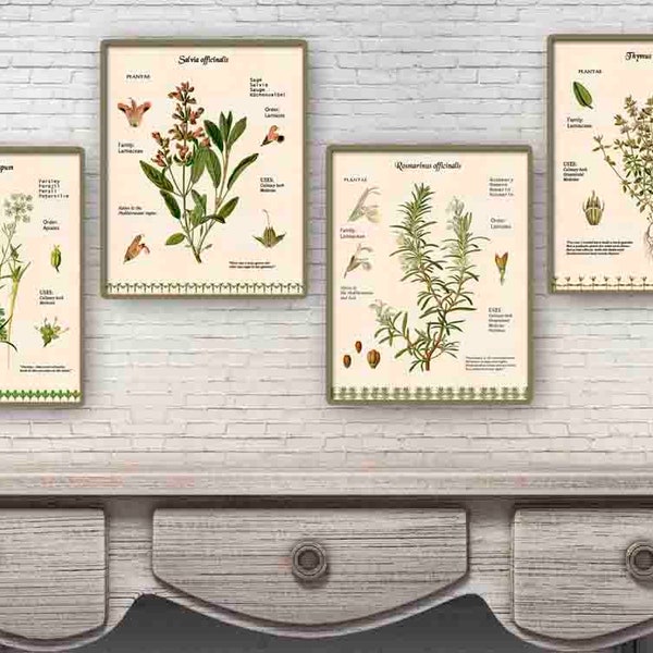 Parsley Sage Rosemary and Thyme Art Print Etsy
