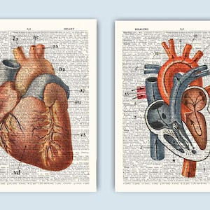 Anatomieprints hart, decor cardiologie, cadeau hartarts, set van 2 prints