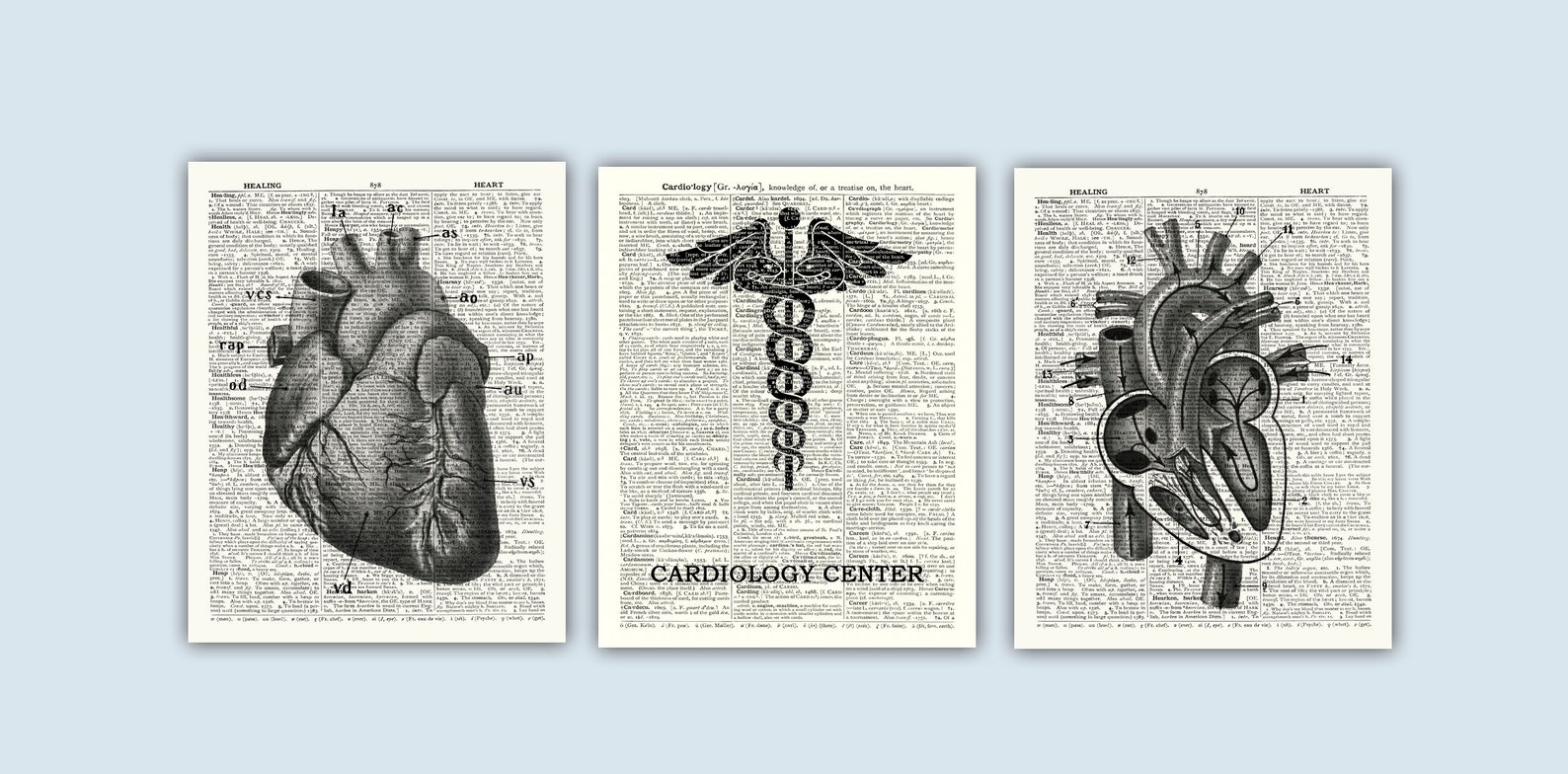 Vintage Heart Anatomy Art Prints, Cardiology Office Decor, Set of 3 - Etsy