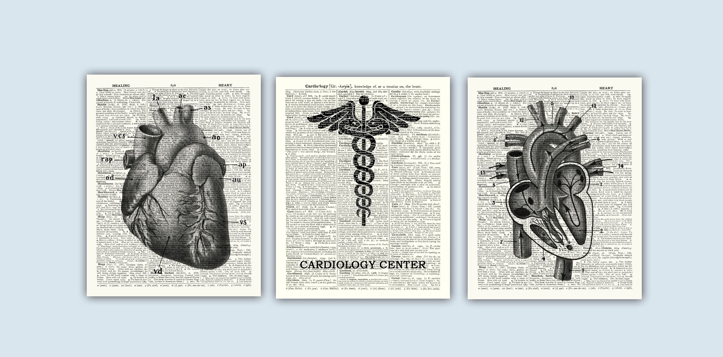 Vintage Heart Anatomy Art Prints, Cardiology Office Decor, Set of 3 - Etsy