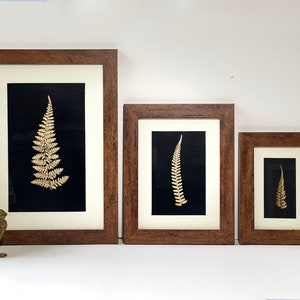 framed art, botanical art, 24k gold, pressed leaves, wall hanging, wall decor, gift idea, postable gift, home decor, goblincore, cottagecore