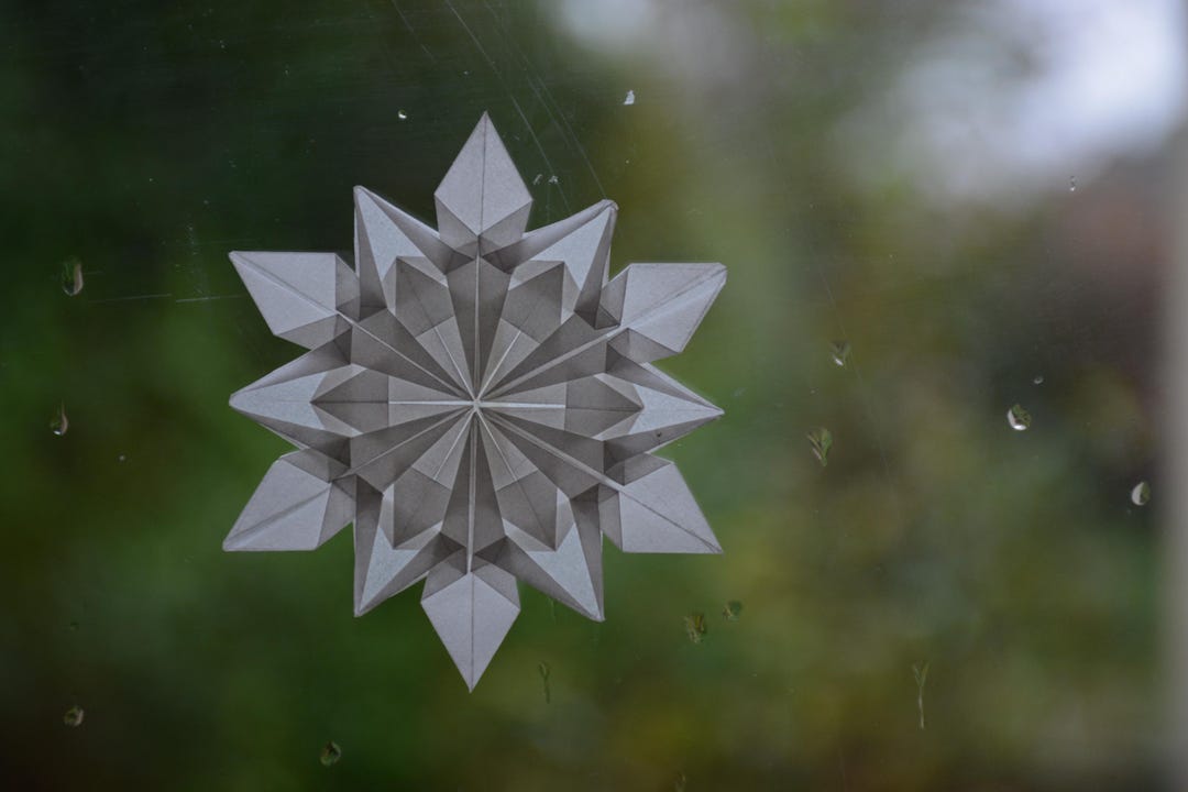 Window Star Waldorf Light Decoration - Edelweiss - Etsy