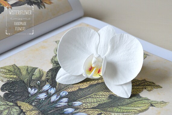 White Orchid Hair Clip White Flower Hair Clip Tropical Flower Etsy