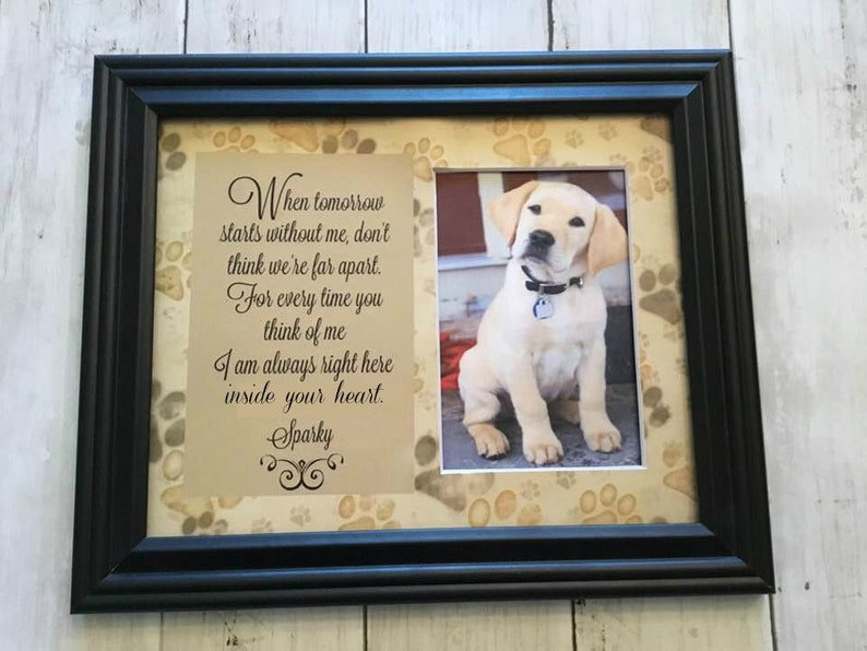 Pet Sympathy Gift Pet Loss Frame Dog Memorial Cat Memorial Etsy