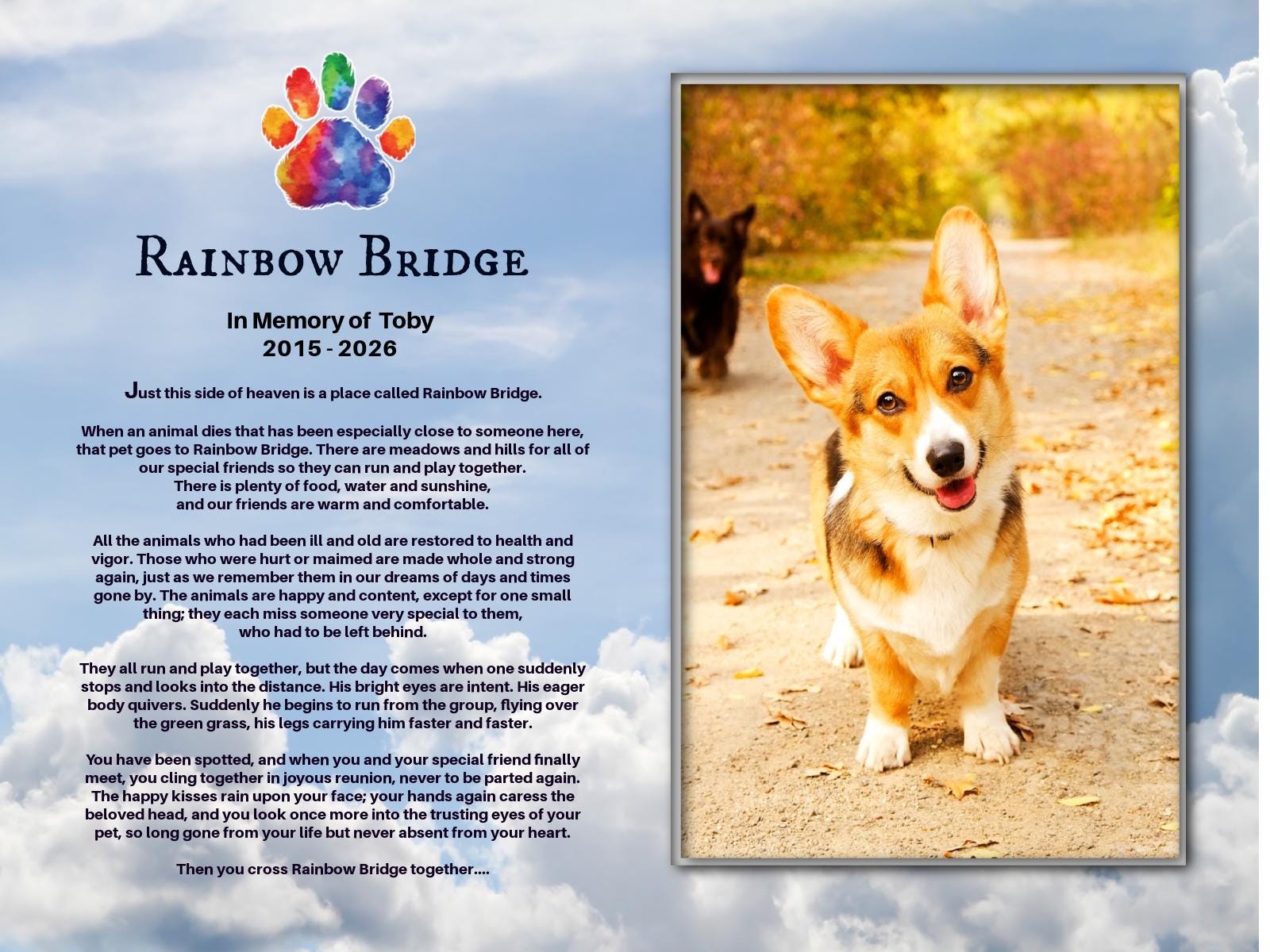 Personalized Rainbow Bridge Pet Memorial Frame, Dog Cat Loss Gift ...