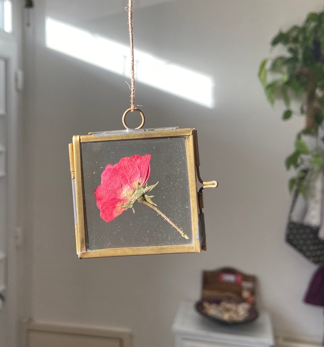 Red Rose. Real Pressed Flower Hanging Frame Ornament. Etsy