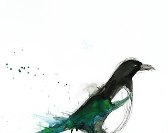 Magpie wall art print