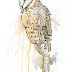 Owl wall art print