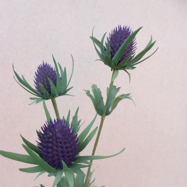 Purple teasel thistle bud wild artificial summer flower for birthday gift buttonholes corsages, cake decorating or bouquets these don't wilt