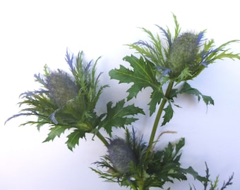 Sea holly thistle flower artificial birthday or thank you gift these don't wilt for buttonholes vases and bouquets everlasting