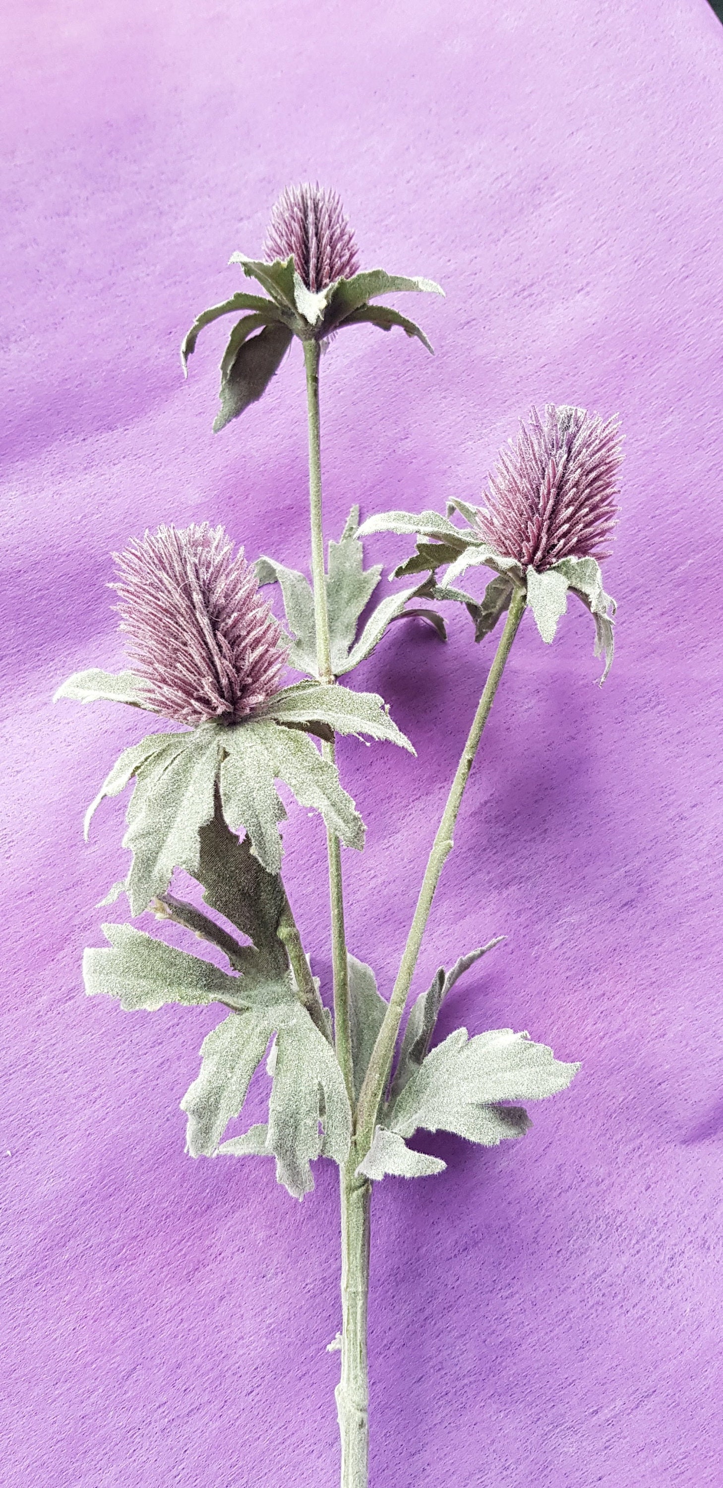 Edible Lavender Flower Wands (50 ct.) - Sam's Club