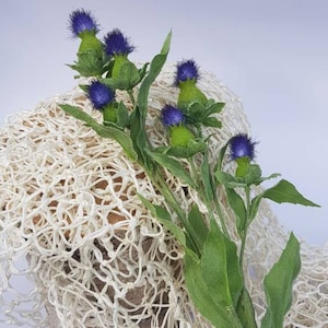 Thistle flower blue or white wild artificial for bouquets cake decorating corsages hat making or birthday gift these dont wilt outlander