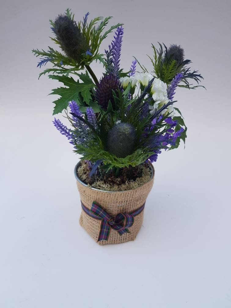Hessian Scotland thistle pot large with artificial thistles Etsy