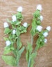 Thistle flower white wild Scottish artificial silk  decorations, bouquets, vase, corsages or birthday these dont wilt. 