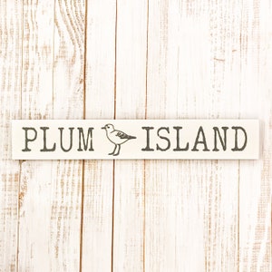 PLUM ISLAND, Plum Island MA, Plum Island Beach, Newburyport, Newbury, Ipswich, Massachusetts, Pink House, Housewarming gift, New home gift