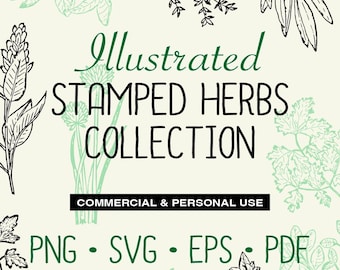 Illustrated Stamped Herbs, herbs png svg eps pdf, vector, Hand-drawn herb digital files, Commercial & Personal Use Included