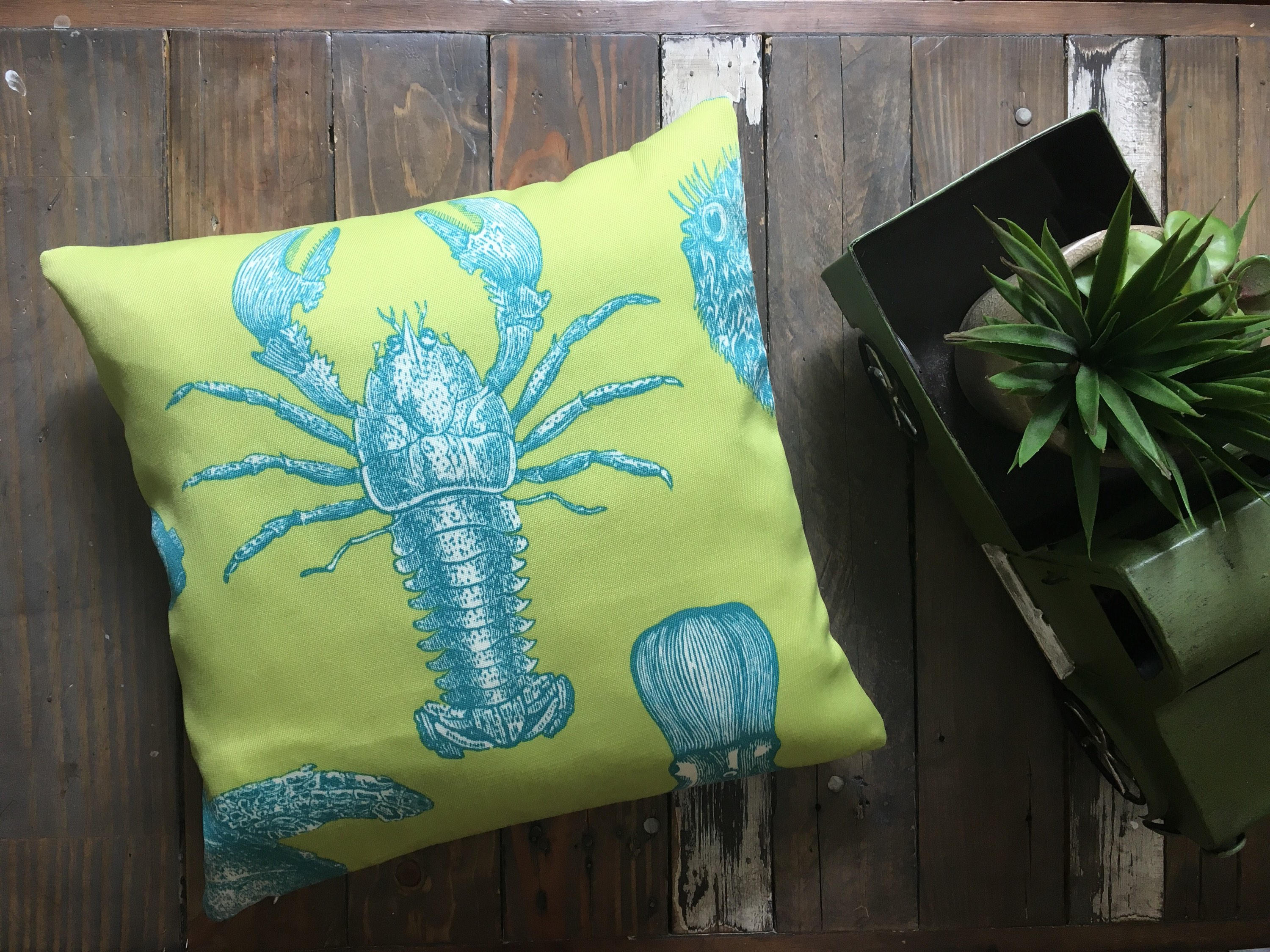 Thomas paul clearance pillows