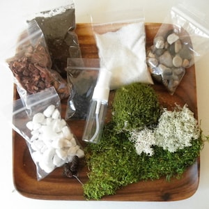 DIY - Classic Clean Terrarium Kit - Use your own Container