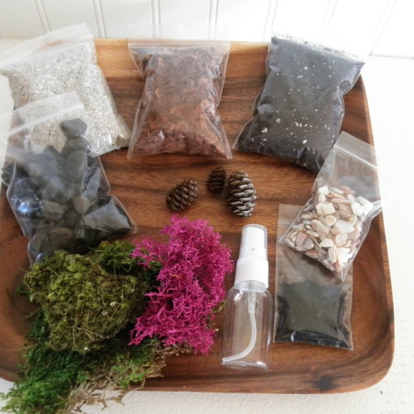 DIY - Mod Moss Terrarium Kit - Use your own container