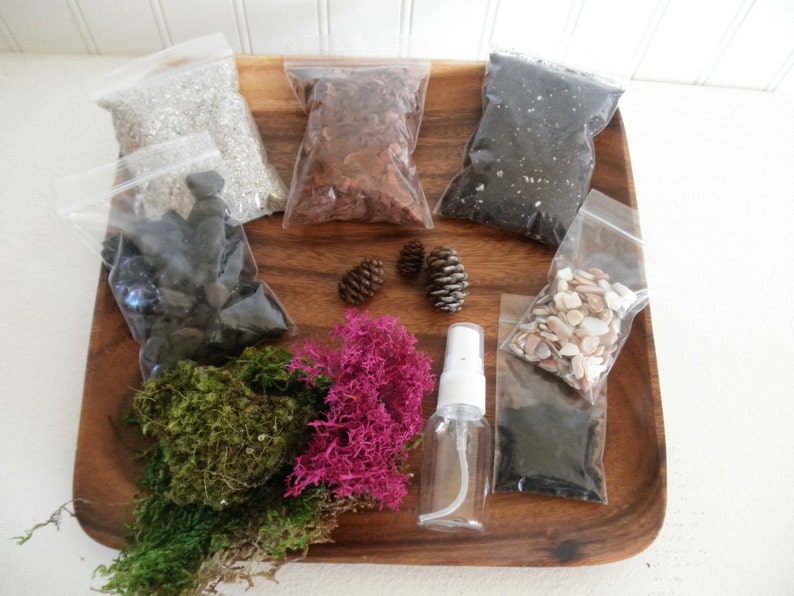 DIY - Mod Moss Terrarium Kit - Use your own container 