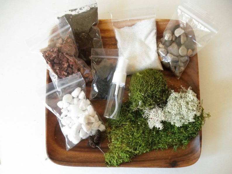 DIY - Classic Clean Terrarium Kit - Use your own Container 