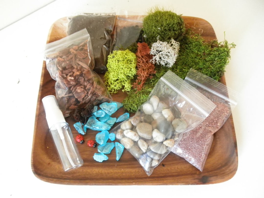 DIY Colorful Terrarium Kit Use Your Own Container Etsy