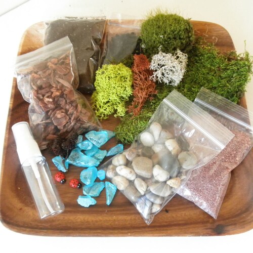 DIY Woodland Terrarium Kit Use Your Own Container Etsy