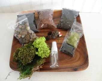 DIY - Woodland Terrarium Kit - Use your own Container