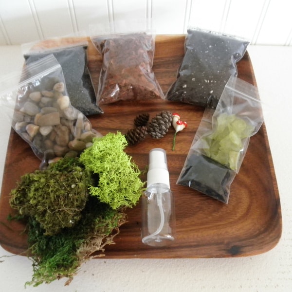 DIY - Woodland Terrarium Kit - Use your own Container