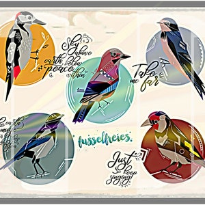 Oiseaux indigènes - Fichier traceur DXF SVG - Pic tacheté, Pie, Chardonnerets, Hirondelle, Geai sans peluches