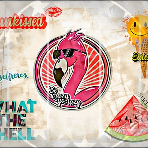 Puede incluir: Una ilustración de estilo vintage con un flamenco rosa que lleva gafas de sol y el texto "Be crazy go lazy". La imagen también incluye una rodaja de sandía, un cono de helado sonriente y el texto "Sunkissed", "fusselfreies", "What the shell" y "Eistester".