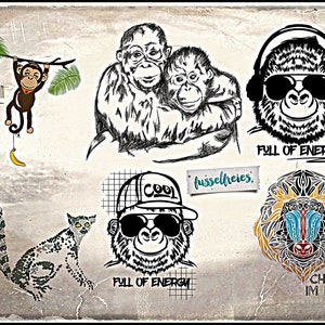 Puede incluir: Una colección de ilustraciones en blanco y negro con diferentes tipos de monos y simios. Las ilustraciones incluyen un mono colgado de una rama, dos simios abrazándose, un gorila con auriculares y gafas de sol, un mono con una gorra de béisbol y gafas de sol, y un mandril con marcas coloridas. Las ilustraciones están sobre un fondo texturizado con las palabras "Full of Energy", "Cool", "Fussefreies" y "Chef im Haus".