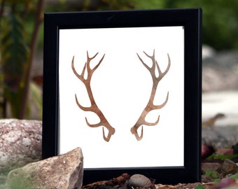 May include: A black framed picture with a white background and a pair of brown antlers in the center.