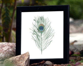 Pavo real Decor - pluma del pavo real - pluma acuarela - Home Decor - arte de la pared - pavo real arte - plumas Print - regalo de inauguración de la casa - esposa regalo