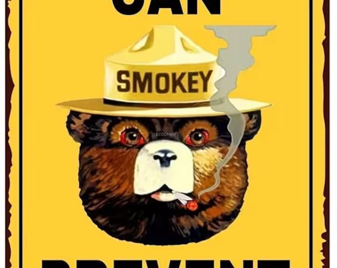 Smokey the Bear Metal Sign - 8x12 Inch