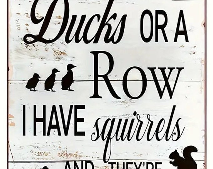 I Don't Have Ducks or a Row I Have Squirrels and They're Everywhere Tin Sign - 8x12 Inch