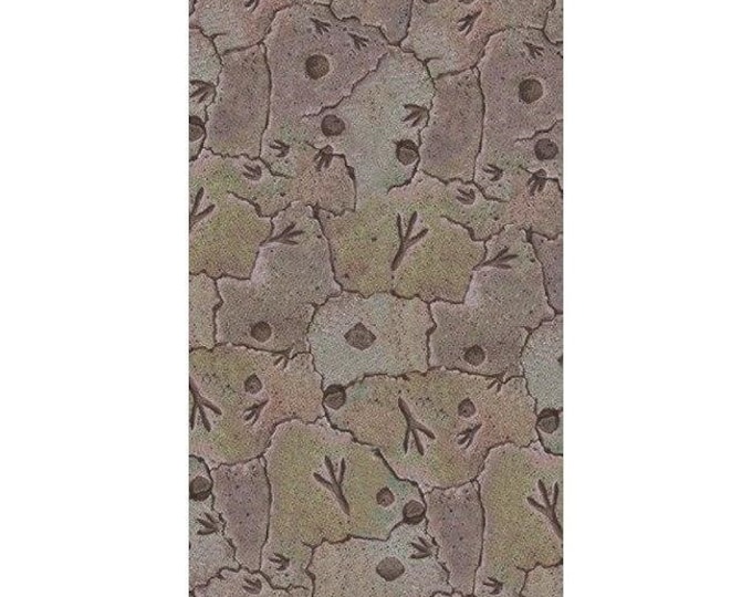 Diggin for Dinosaurs Favor Bags (20)