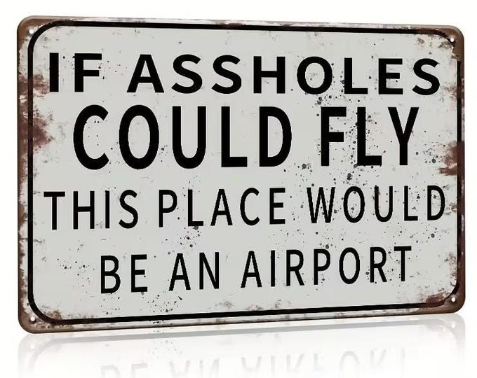 If Assholes Could Fly This Place Would Be an Airport - Reproduction Retro Vintage Tin Sign - 8x12 Inch