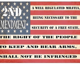 2nd Amendment Metal Sign - 8x12 Inch