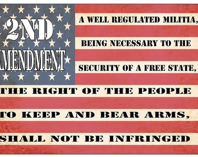 2nd Amendment Patriotic American Flag Vintage Style Metal Sign - 8x12 Inch