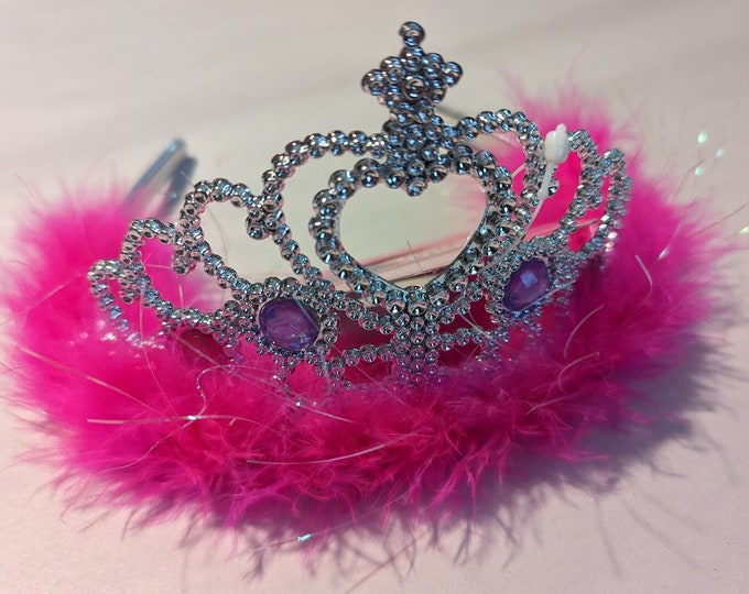 Silver and Pink Princess Crown (1)
