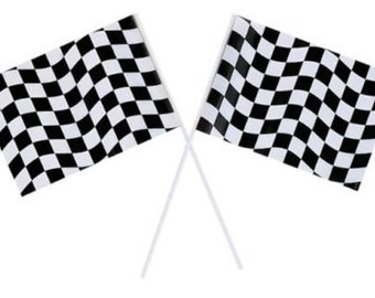 Black & White Checkered Plastic Flags (2) - NASCAR Racing Birthday Party Supplies