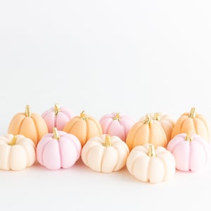 Fondant Pumpkins- Pastel colors- Set of 12- New Listing