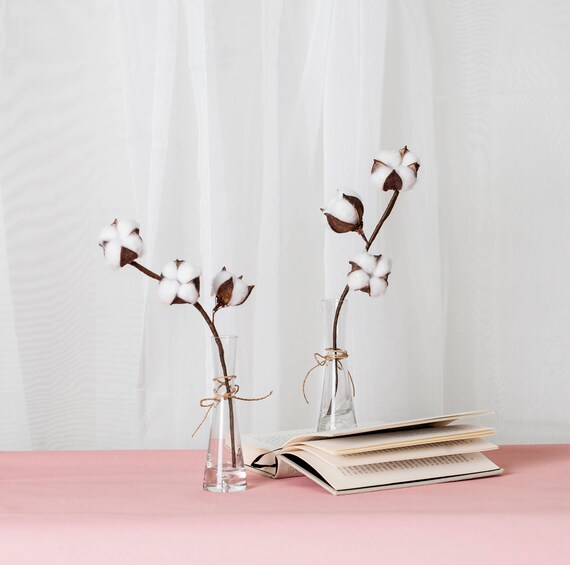 A Dried Cotton Flower Stem with 3 Bolls in Flared Glass Vase/ Etsy