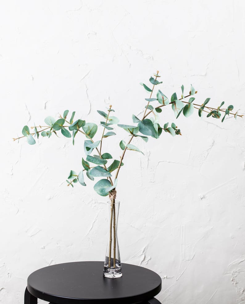 1 Flared Glass Vase Set with 2 long stems of eucalyptus / Etsy