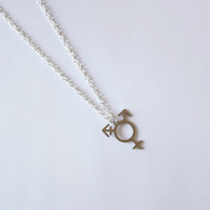 Colgante de acero inoxidable con el símbolo del orgullo transgénero y collar bañado en plata. Cadena de 45 cm. Orgullo. LGBTQ. Joyería con carácter.
